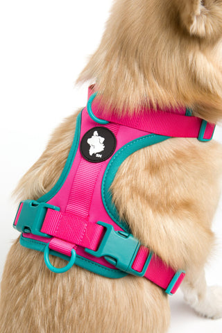 Luna Harness